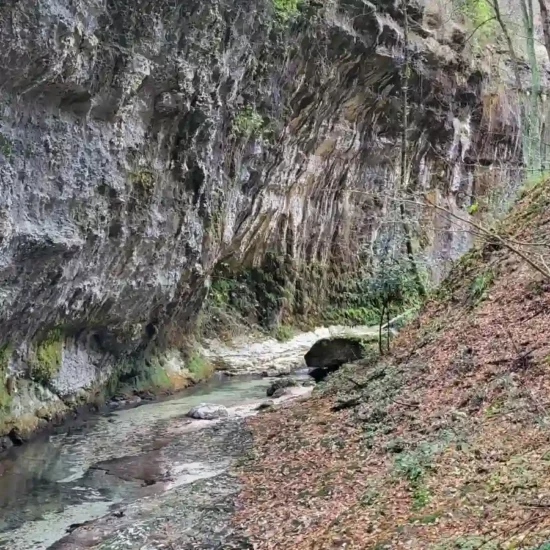 Canyon roccioso e fiume sottostante con foglie in autunno nella valle dell'orfento