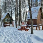 ciaspolata nel bosco delle meraviglie di Roccaraso fino a baita Paradiso